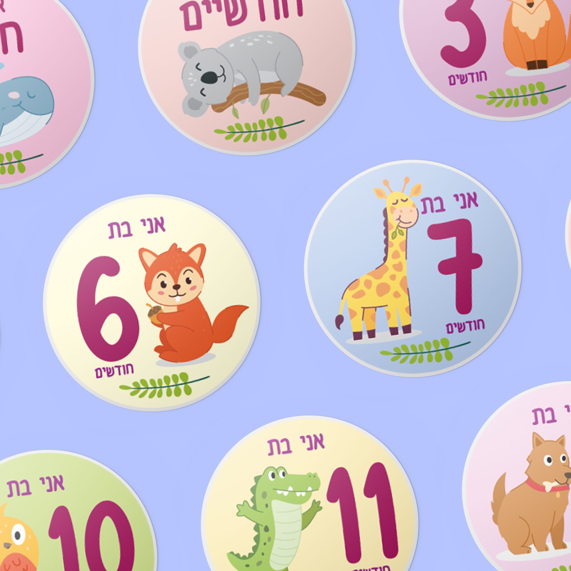 מדבקות לציון חודשים – מוצר מעוצב בהתאמה אישית של ליבי-שופ